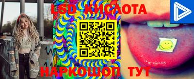 jwh Донецк
