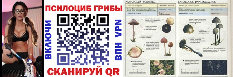 Псилоцибиновые грибы GOLDEN TEACHER Заринск