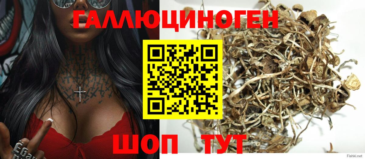 Галлюциногенные грибы MAGIC MUSHROOMS  Заринск  Галлюциногенные грибы MAGIC MUSHROOMS 