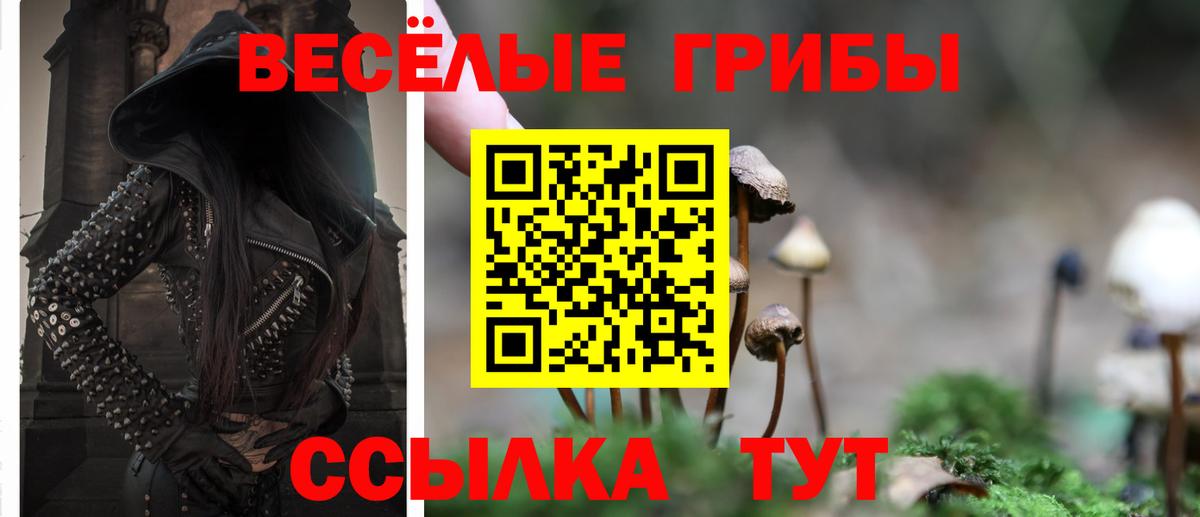 цены наркотик  Вход с VPN  Заринск  Псилоцибиновые грибы мухоморы 