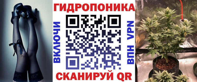 сайты даркнета наркотические препараты  МЕГА онион  Заринск  Канабис LSD WEED 